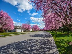 the-neighborhood-market-report-dec-2018
