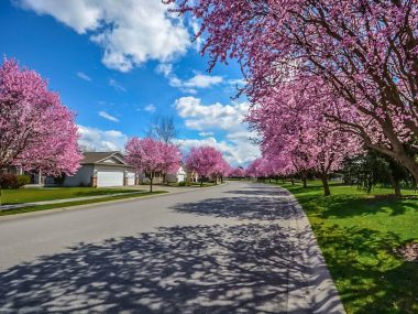 the-neighborhood-market-report-dec-2018