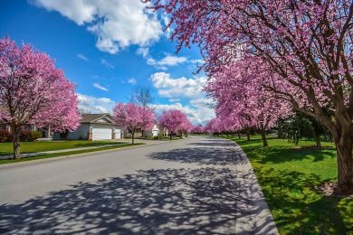 the-neighborhood-market-report-dec-2018